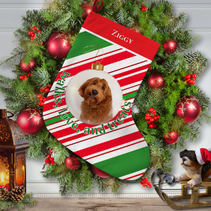 Aangepaste hondenfoto wandelingen, liefdestraktati grote kerstsok