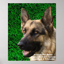Aangepaste hondenfotoposter - Persoonlijke huisdie