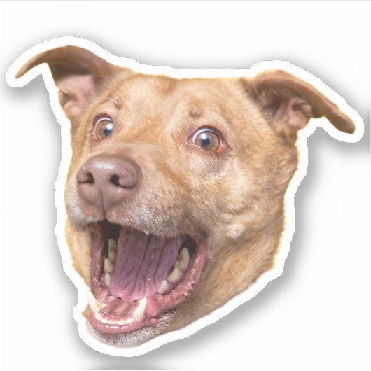 Aangepaste hondengezicht Stickers | Dog Mom Gift (Voorkant)