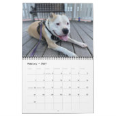 Aangepaste hondenherinneringen maken kalender (Feb 2027)
