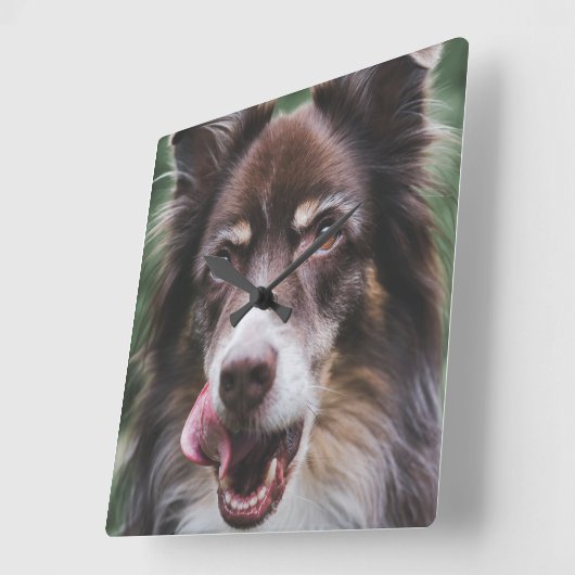 Aangepaste hondenklok, persoonlijke setklok vierkante klok (Hoek)