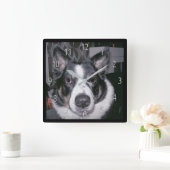 Aangepaste hondenklok vierkante klok (Huis)