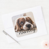 Aangepaste hondennaamontwerp – Persoonlijke cadeau Vierkante Sticker (Envelop)