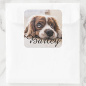 Aangepaste hondennaamontwerp – Persoonlijke cadeau Vierkante Sticker (Tas)