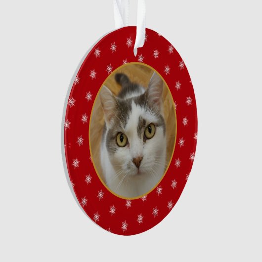 Aangepaste Huisdier Familie Foto's Kerstvakantie Ornament (voorkant)
