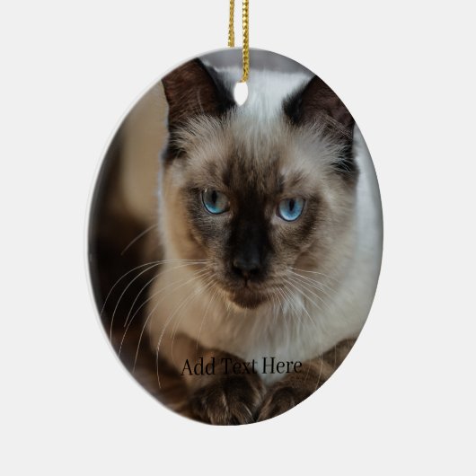 Aangepaste huisdier foto en naam keramisch ornament (Rechts)
