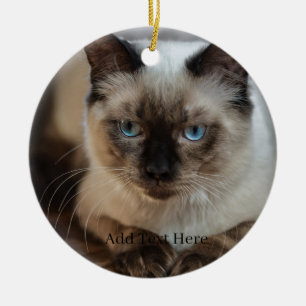 Aangepaste huisdier foto en naam keramisch ornament