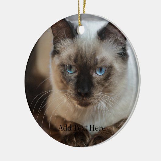 Aangepaste huisdier foto en naam keramisch ornament (Links)