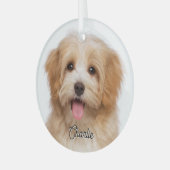 Aangepaste Huisdier Foto en Naam Kerst Vakantie Gl Glas Ornament (Voorkant links)