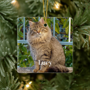 Aangepaste huisdier foto kattenliefhebber en naam keramisch ornament