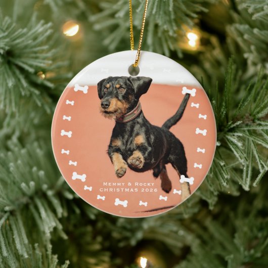 Aangepaste huisdier foto keramisch ornament (Boom)