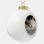 Aangepaste Huisdier Foto Keramische Bal Ornament (Links)