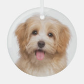 Aangepaste huisdier foto kerstvakantie glas ornament (Voorkant)