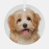 Aangepaste huisdier foto kerstvakantie glas ornament (Achterkant)