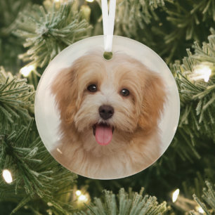 Aangepaste huisdier foto kerstvakantie glas ornament