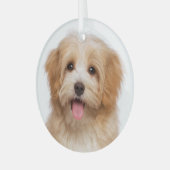 Aangepaste huisdier foto kerstvakantie glas ornament (Voorkant links)