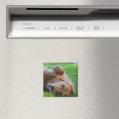 Aangepaste huisdier foto magneet (Insitu (Vaatwasser))