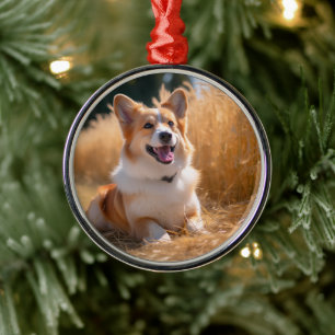 Aangepaste huisdier foto metalen ornament
