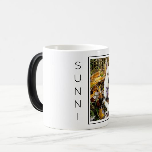 Aangepaste huisdier FOTO, NAAM Hondenliefhebbers P Magische Mok (Voorkant links)