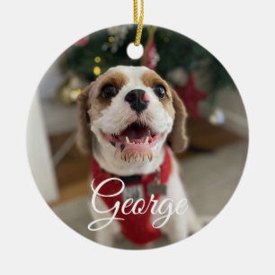 Aangepaste huisdier foto ornament