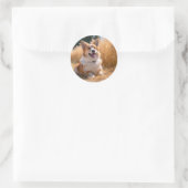 Aangepaste huisdier foto ronde sticker (Tas)