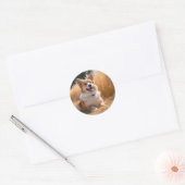 Aangepaste huisdier foto ronde sticker (Envelop)