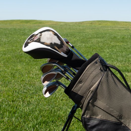 Aangepaste Huisdier Hond Foto Burnese Mountain Golfheadcover (Insitu)