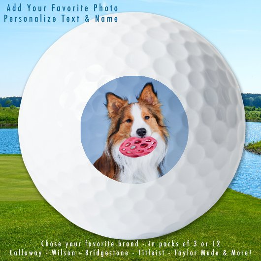 Aangepaste huisdier hond foto eenvoudig gepersonal golfballen