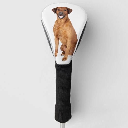 Aangepaste Huisdier Hond Foto Rhodesian Ridgeback Golfheadcover (Voorkant)