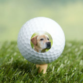 Aangepaste Huisdier Hond Kat Foto gepersonaliseerd Golfballen (Insitu Shirt)