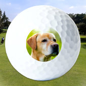 Aangepaste Huisdier Hond Kat Foto gepersonaliseerd Golfballen