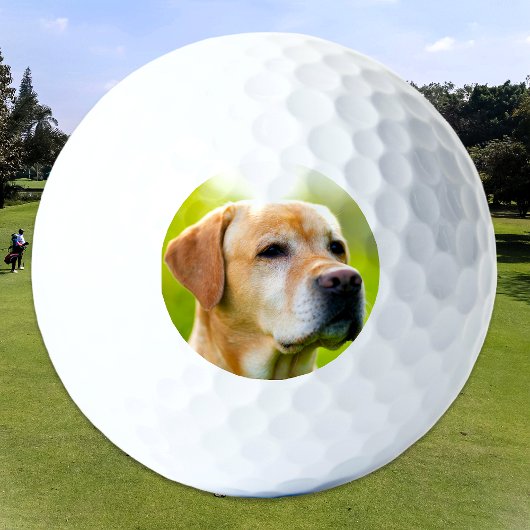 Aangepaste Huisdier Hond Kat Foto gepersonaliseerd Golfballen