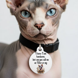 Aangepaste huisdier-ID-tag Sphynx-kat Grappig  Huisdierpenning