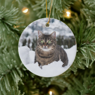 Aangepaste Huisdier Kat 2 Foto Kerstmis Keramisch Ornament