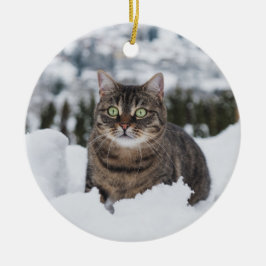 Aangepaste Huisdier Kat 2 Foto Kerstmis Keramisch Ornament