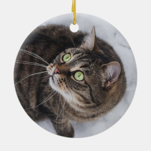 Aangepaste Huisdier Kat 2 Foto Kerstmis Keramisch Ornament (Achterkant)