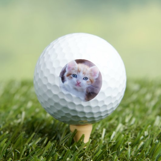 Aangepaste huisdier kat foto modern golfballen (Insitu Shirt)
