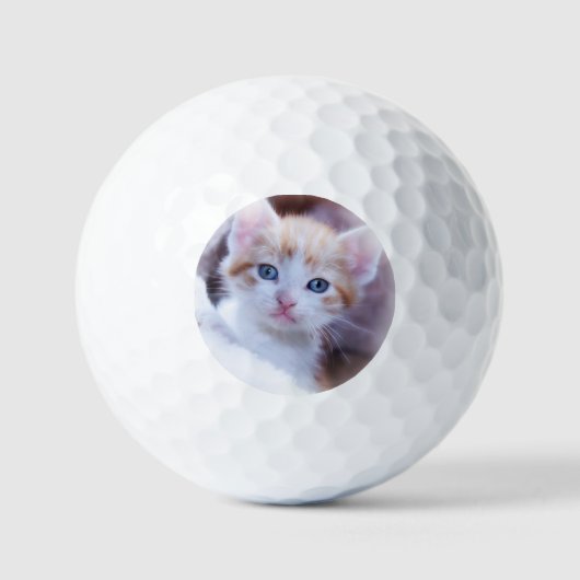 Aangepaste huisdier kat foto modern golfballen (Voorkant)