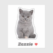 Aangepaste Huisdier, Kat, Hond Die Cut Vinyl Water Sticker (Vel)