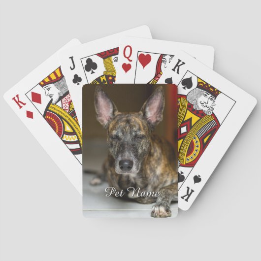 Aangepaste huisdier kat hond foto  pokerkaarten (Achterkant)