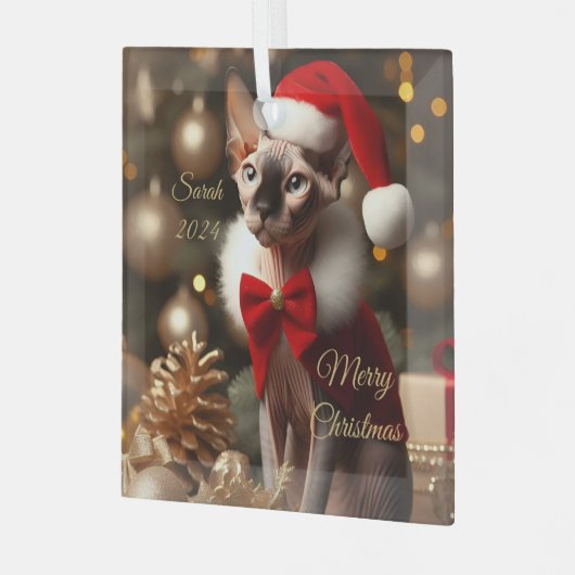Aangepaste Huisdier Naam Foto Sphynx Kat Kerstmis  Glas Ornament (Voorkant links)