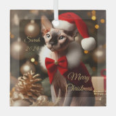 Aangepaste Huisdier Naam Foto Sphynx Kat Kerstmis  Glas Ornament (Voorkant)