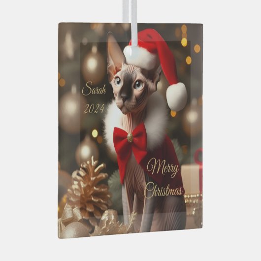 Aangepaste Huisdier Naam Foto Sphynx Kat Kerstmis  Glas Ornament (Voorkant Rechts)