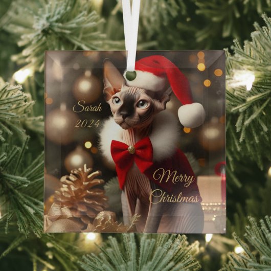 Aangepaste Huisdier Naam Foto Sphynx Kat Kerstmis  Glas Ornament (Insitu)