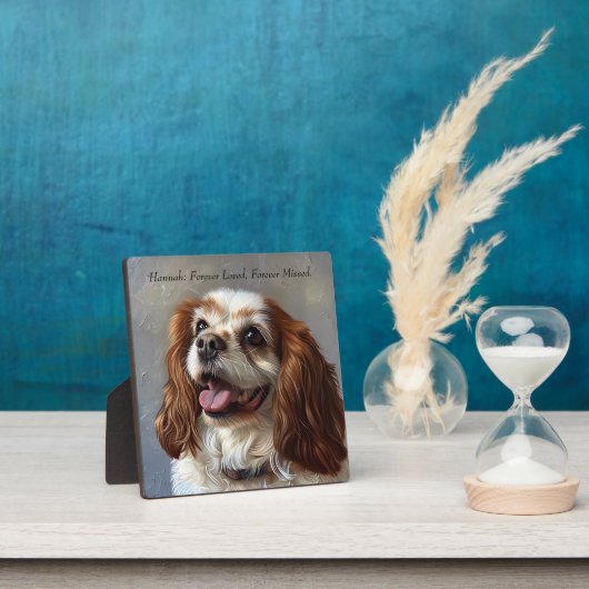 Aangepaste huisdier verlies plaque: gepersonalisee fotoplaat (Insitu)