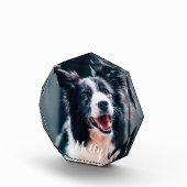 Aangepaste huisdierenfoto | Maak je eigen fotoblok (Rechts)