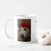 Aangepaste huisdierennaam & foto's "GedrevenDoorKo