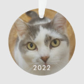 Aangepaste huisdierfamilie foto tekst kerstvakanti ornament (voorkant)