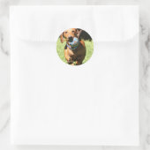 Aangepaste huisdierfoto en tekst ronde sticker (Tas)