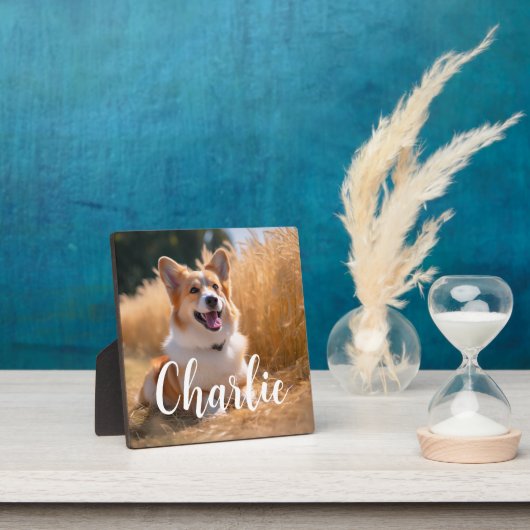 Aangepaste huisdierfoto fotoplaat (Insitu)